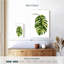 Green Palm II-2008016776