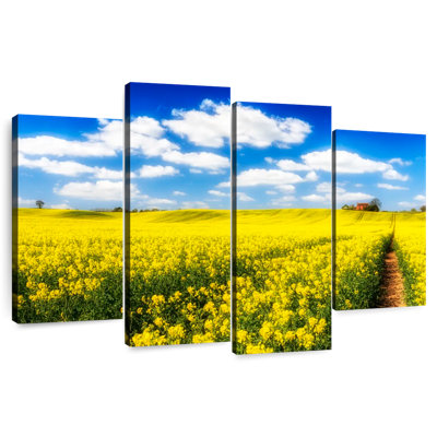 Alvord Flower Field