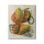 «Pear Fruit Harvest Illustration Vintage Text Passage» par Daphne Polselli - Peinture-65640482-65640484