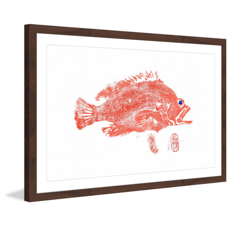 « tacheté grouper », reproduction d’art encadrée, H 20 po x l 30 po x P 1,5 po