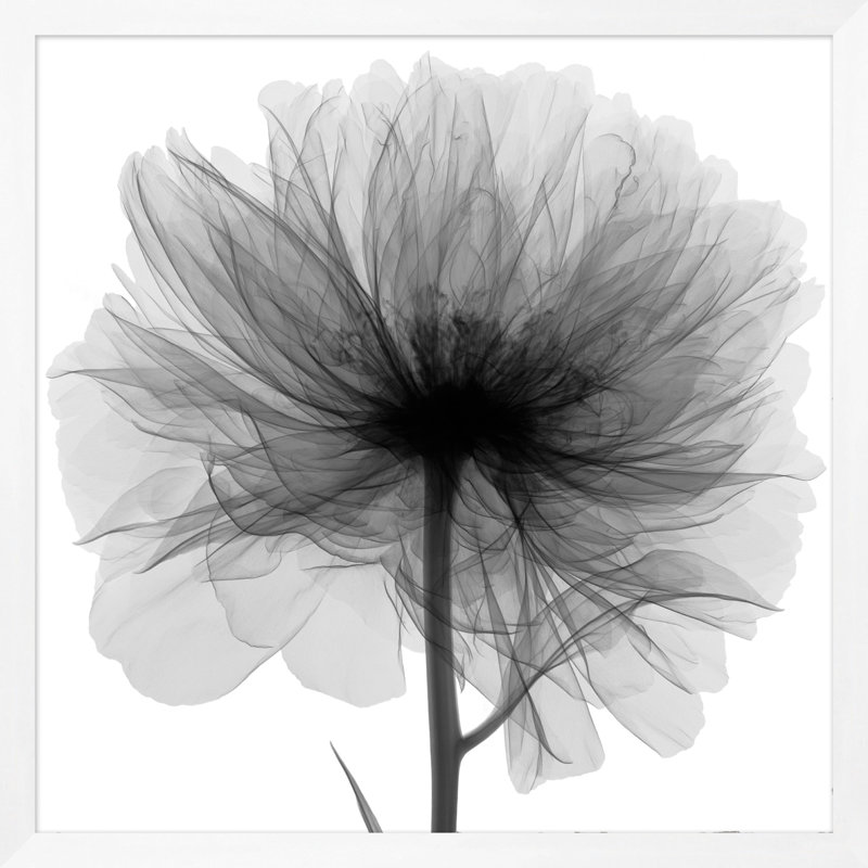 Hand-Picked Gray 1' Framed Graphic Art Print on Glass