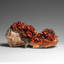 Vanadinite Crystal Cluster On Matrix From Morocco (324.1 Grams)