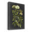 Ex-libris floral I - Impression sur toile tendue-353283877