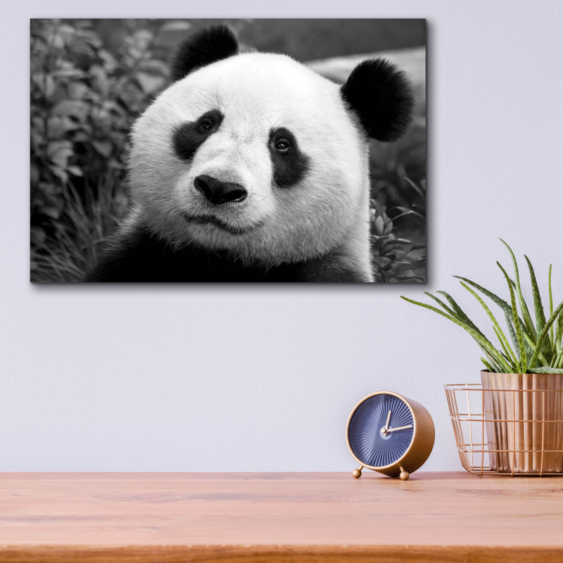 " Giant Panda " by SD Smart, 12" H x 16" W x 0.13" D