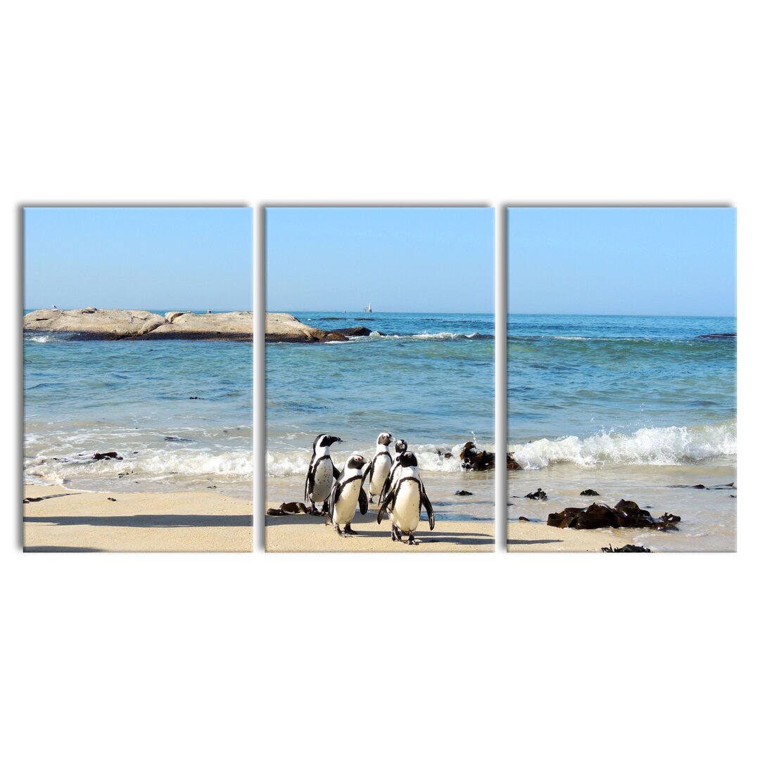 3-tlg. Leinwandbilder-Set Pinguine am Strand in Weiß