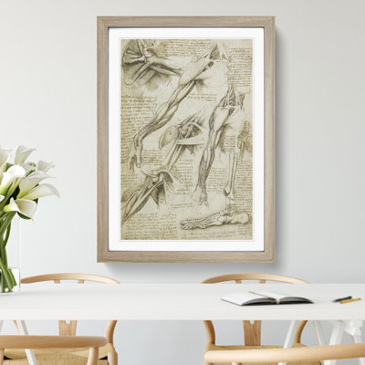 Human Anatomy Vol.1 by Leonardo Da Vinci - Picture Frame Drawing on MDF