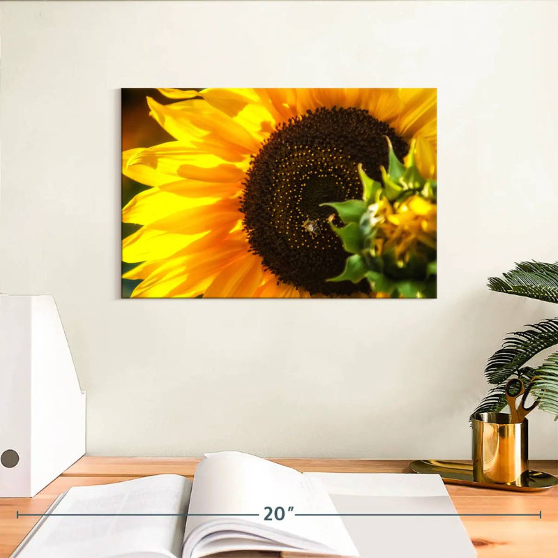 Harnek magnifique tournesol, H 8 po x l 12 po