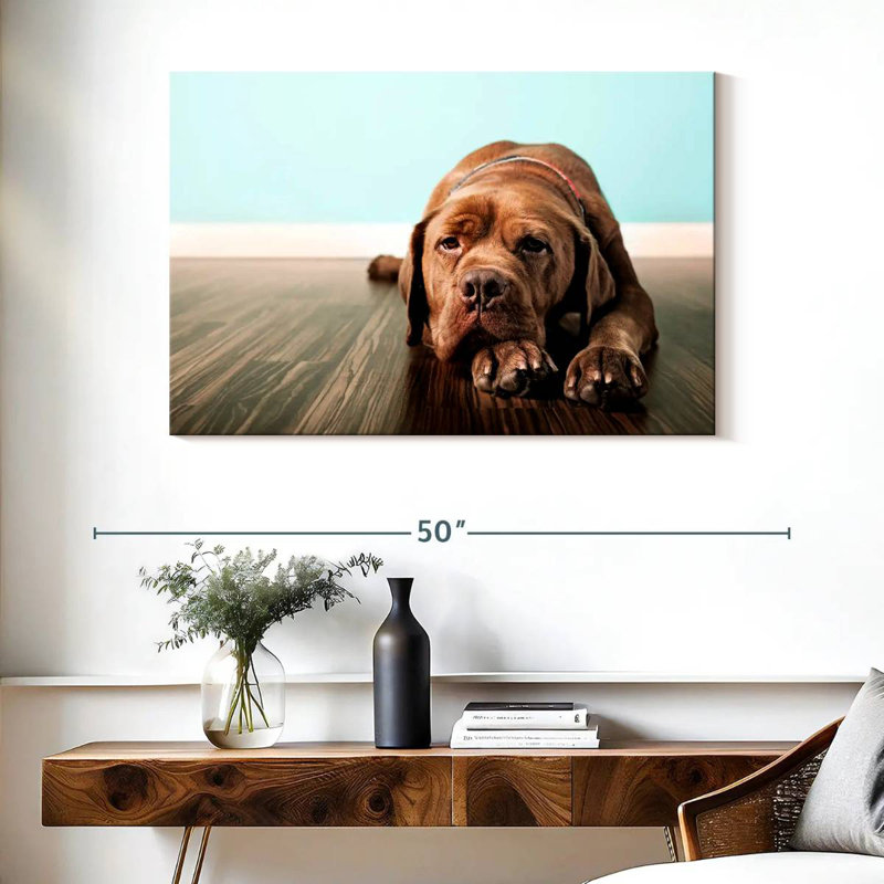 Dogue français Brampt s'ennuie, H 26 po x l 39 po