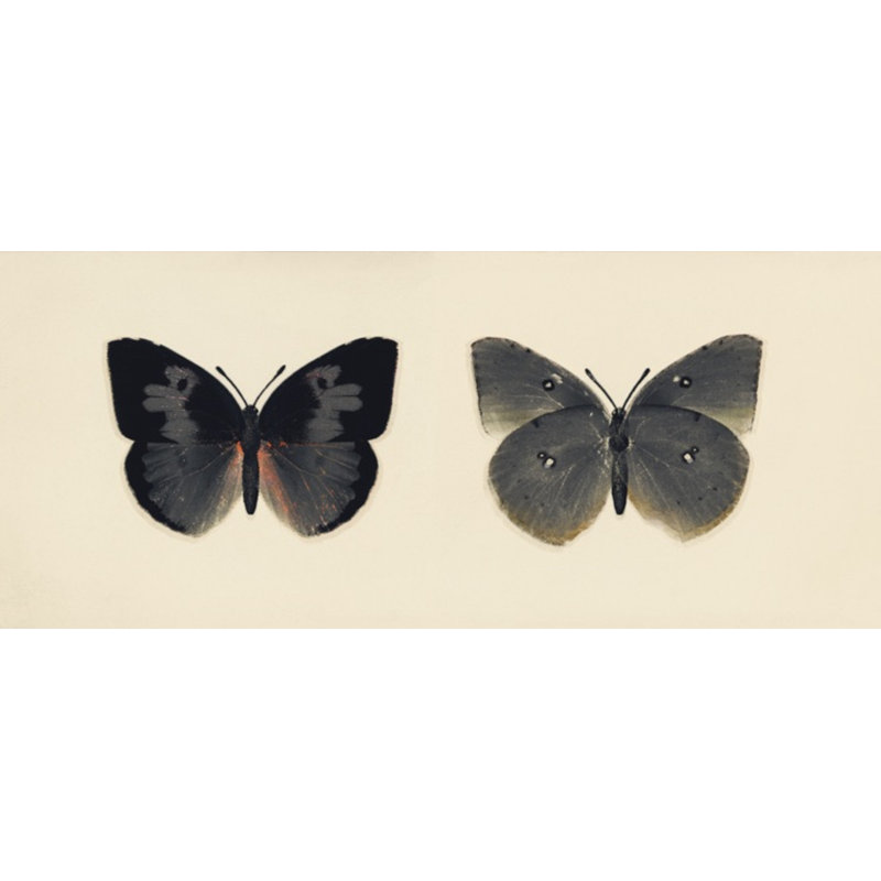 Flutter 4 Print by Todaro, Katie