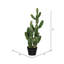 Cactus vert en pot 31 po