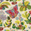 Exotic Butterfly Fabric-35103000