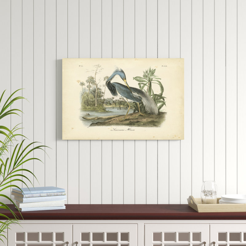 Louisiana Heron, peinture sur toile, H 24 po x l 36 po