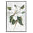 Flottant argent
