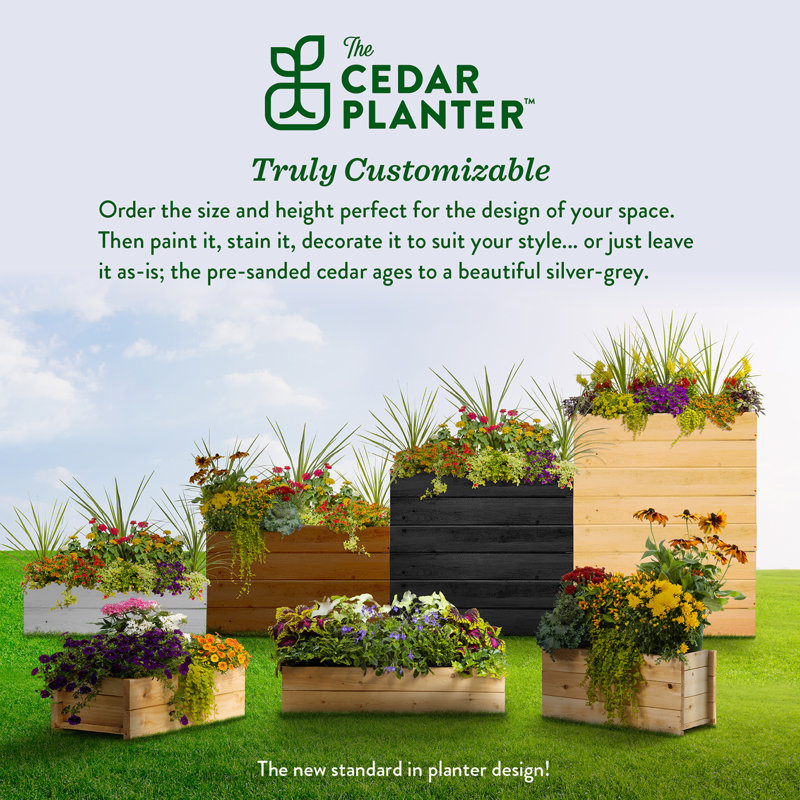 Natural Cedar Wood Rectangular Planter Box, 46" x 11"