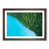Walnut selected
