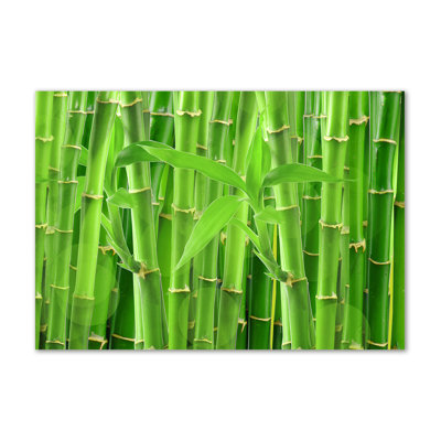 Bamboos - Wrapped Canvas Print