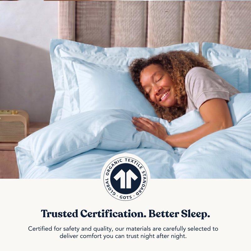 Delara GOTS-Certified Organic Cotton Sateen Pillowcase Set of 2, 400 Thread Count, Soft Long-Staple Cotton, Light Blue, Queen