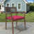 Canvas Hot Pink