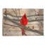 «Cardinal Bird», impression-22122275-22122268