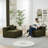2-Seat Sectional Sofa with 2 pillows