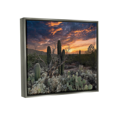 Arid Desert Cactus Sunset - Photographie sur toile à cadre flottant