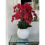 Phalaenopsis Orchid Floral Arrangement in Pot-1766237183