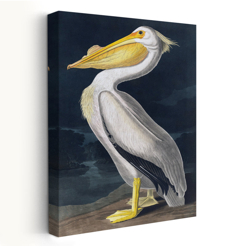 Pélican - Art rétro avec oiseaux, H 24 po x l 16 po