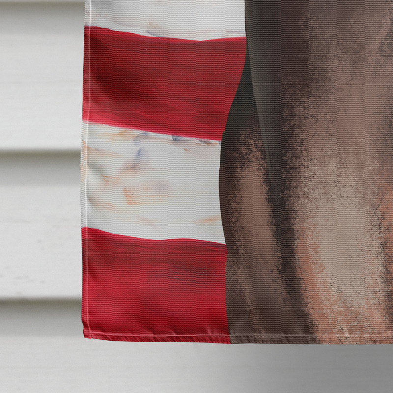 Polyester à 2 côtés 28 x 40 po drapeau maison, Terrier américain sans poil