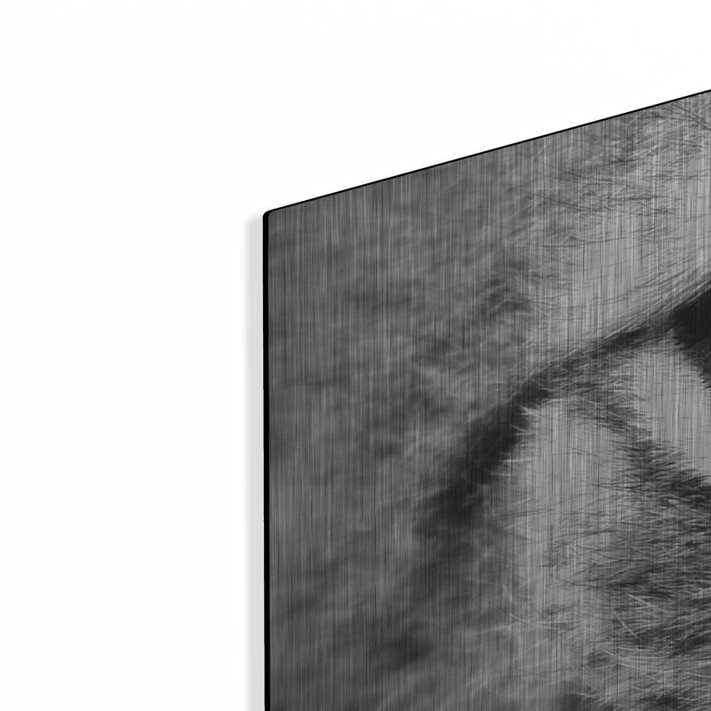 Lynx 2 par PhotoINC Studio, H 12 po x l 36 po