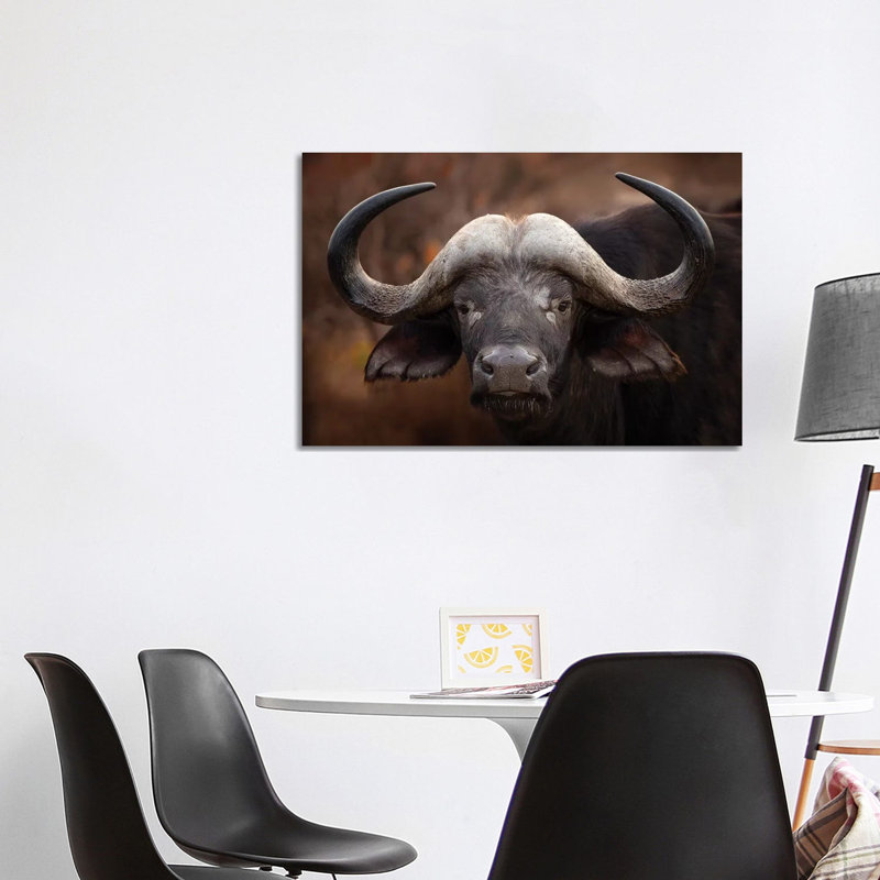 A Buffalo Portrait by Mario Moreno - Wrapped Canvas Print, 101.6 cm H x 66.04 cm W x 1.91 cm D