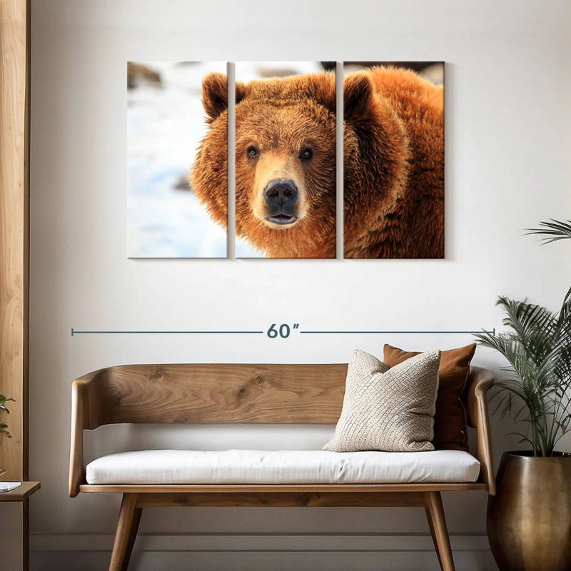 Regard d'ours grizzly, H 28 po x l 45 po