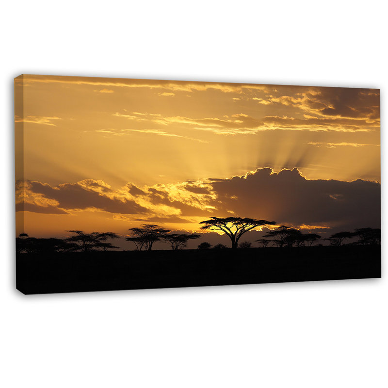 Coucher de soleil en Afrique avec arbre d'acacia - reproduction de photo sur toile tendue, H 16 po x l 32 po