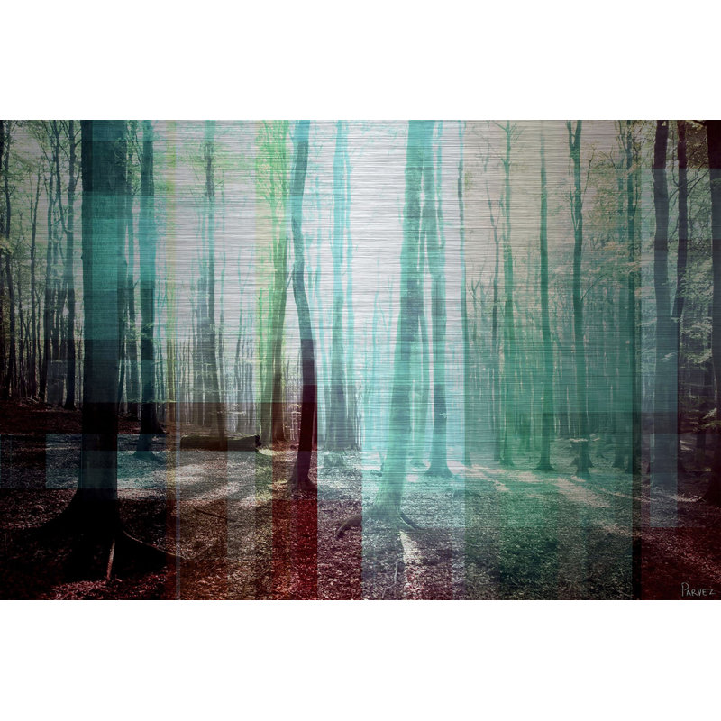 Reproduction de photo sur métal, "tree rays" par parvez taj, 24 po x 36 po