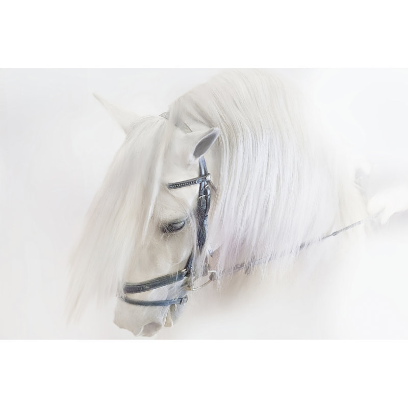 Purebred III by Ozana Sturgeon - Print on Canvas, Wrapped Canvas, 20cm H x 30cm W