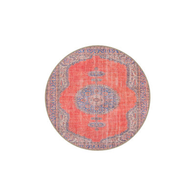 Washable Traditional Themed Colorful Decorative Area Rug