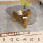 Tables basses et cocktail modernes, table compacte en verre et en bois pour le salon