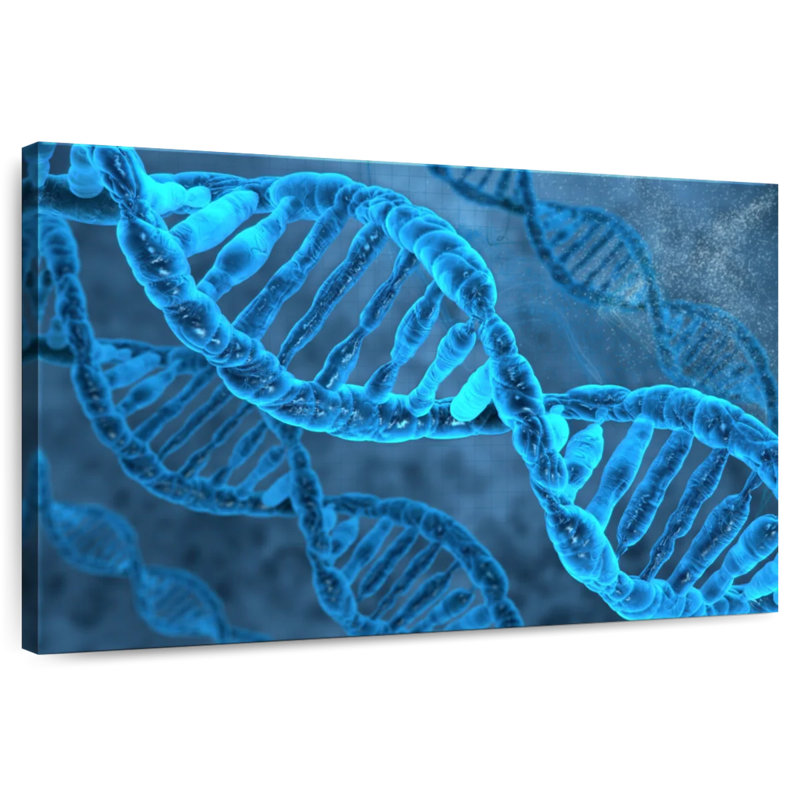 Keiri DNA Molecules, 32'' H x 48'' W