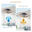 Ventilateur de plafond moderne 20 po à DEL à 6 vitesses à intensité variable avec lumière et télécommande