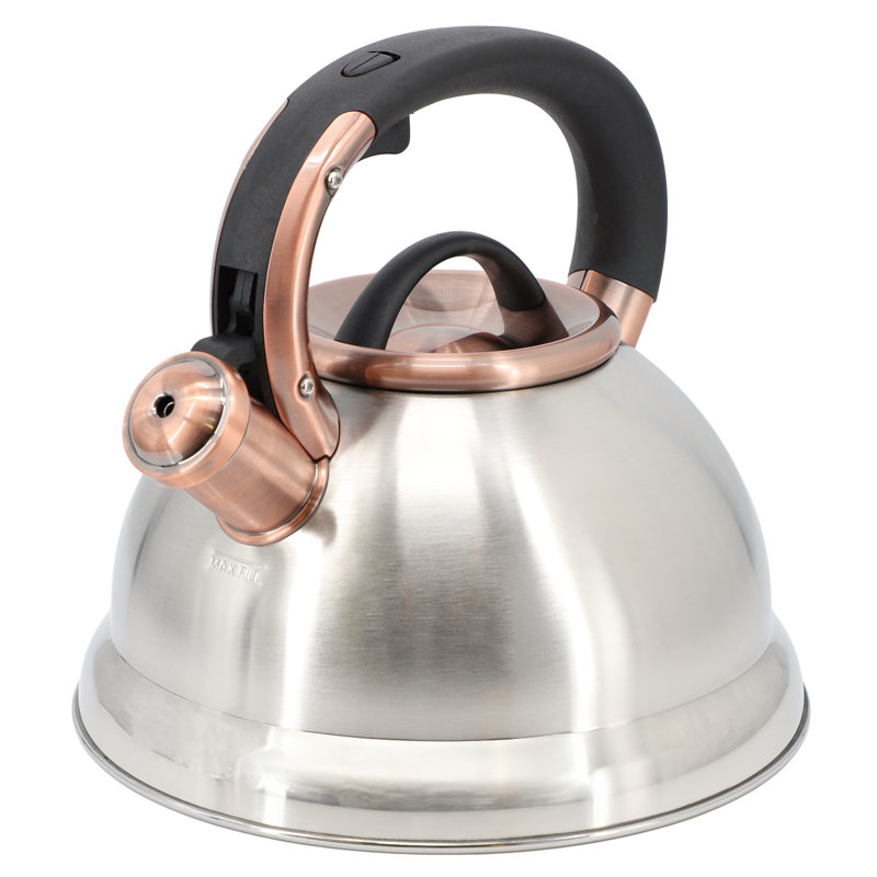 Bouilloire à sifflet en acier inoxydable de 2,2 pintes Mr. Coffee Flintshire, Argent argent
