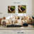 Senne New Seedling Sprouting-109359343