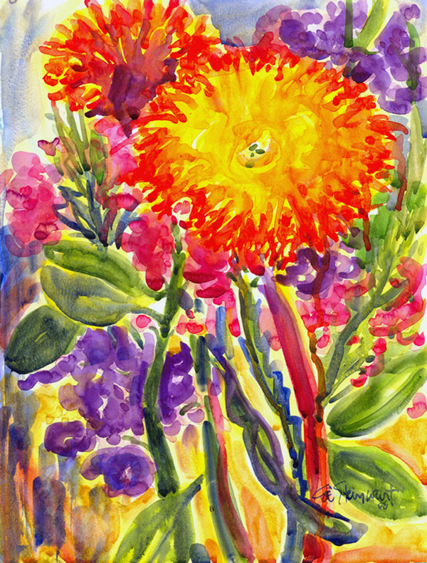 Drapeau de maison Nicosia Aster