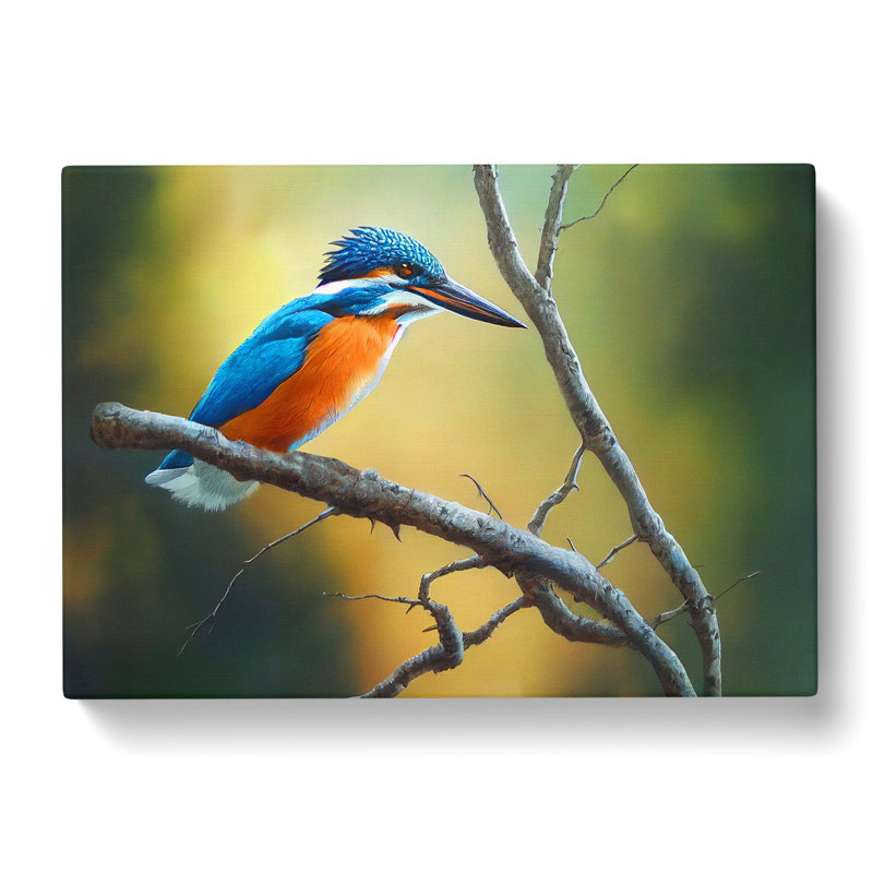 Cool Kingfisher Bird - Wrapped Canvas, 40cm H x 60cm W x 3cm D