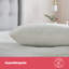 Silentnight Squishy Pillow