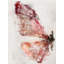 Watercolour Wings I Print by Zoey Riley-25704753-25704757