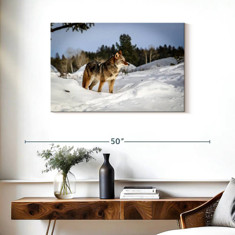Winter Snow Coyotes
