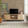 Dragelin Modern Reeded TV Stand with Open Storage