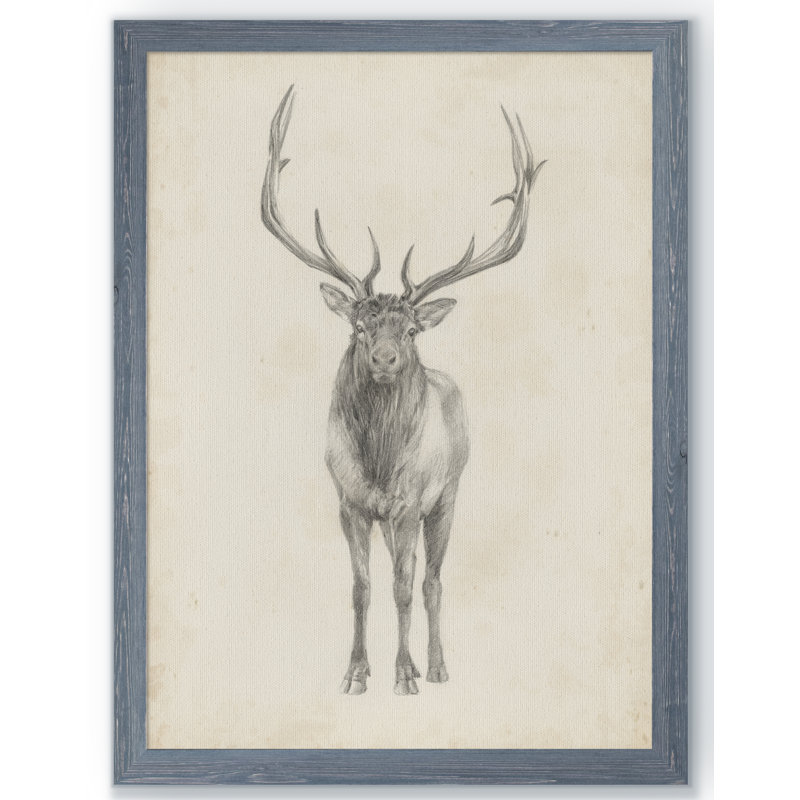 « elk study » par paul cezanne-photo-cadre, reproduction d’art, H 30 po x l 22 po x P 1,25 po, Cadre de toile gris