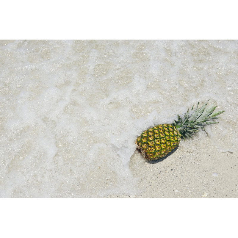 South Florida Pineapple V by Adam Mead - Wrapped Canvas Art Prints, 30cm H x 46cm W x 3.8cm D