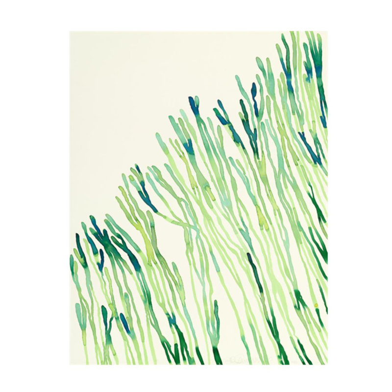 "Plants Xi" par Hable Construction - impression sur toile tendue, Couche de verre