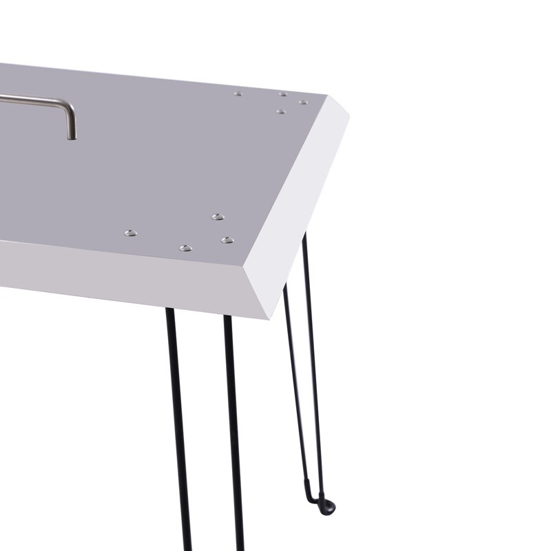 Ivyann 24'' Stainless Steel Fire Pit, 24.01" H x 24.01" W x 24.01" D